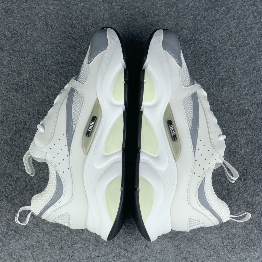 Dior B22 'White Grey'